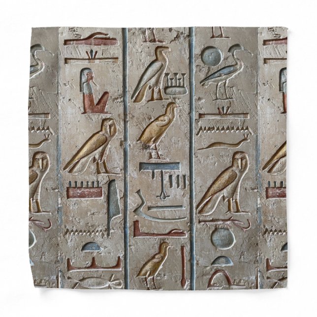 Hieroglyph Ancient Egypt Language Engraved Text    Bandana (Front)