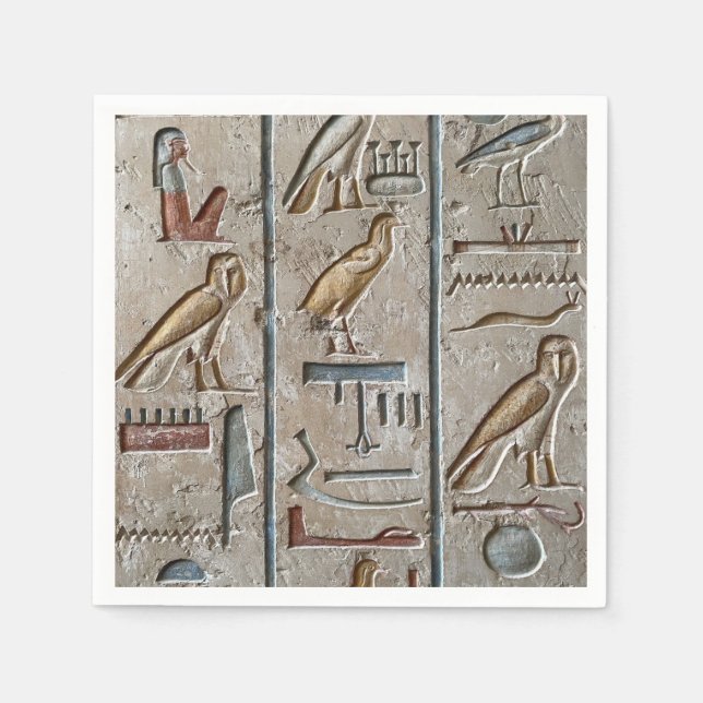 Hieroglyph Ancient Egypt Language Engraved Text    Napkins (Front)