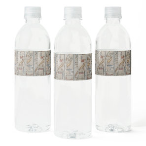 Hieroglyph Ancient Egypt Language Engraved Text    Water Bottle Label