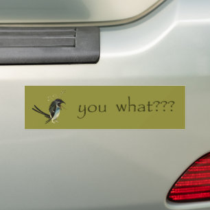 Hieronymus Bosch's Bird Bumper Sticker