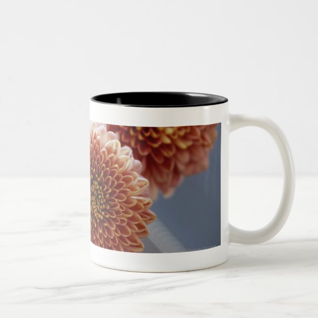 High angle view of flowers in a vase Two-Tone coffee mug (Right)
