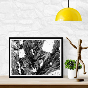 High Contrast Cactus    Black and White Photo Print