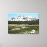 High Country Mountain Stream I Canvas Print