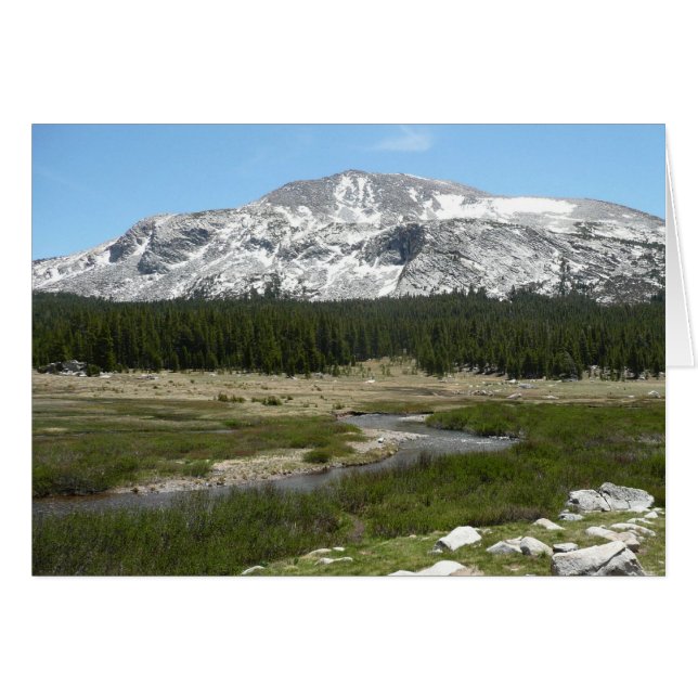 High Country Mountain Stream I Cards (Front Horizontal)