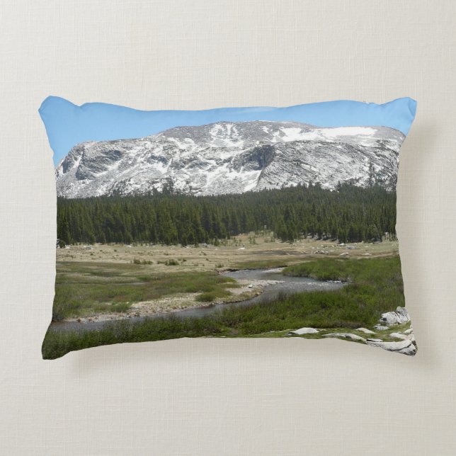 High Country Mountain Stream I Decorative Pillow (Front)