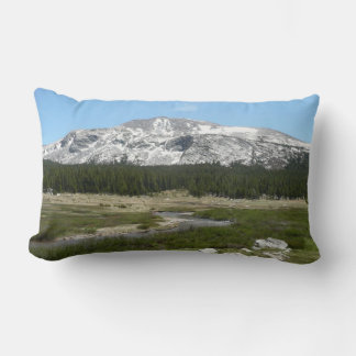 High Country Mountain Stream I Lumbar Pillow