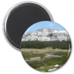 High Country Mountain Stream I Magnet