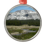 High Country Mountain Stream I Metal Ornament