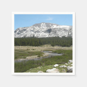 High Country Mountain Stream I Napkins