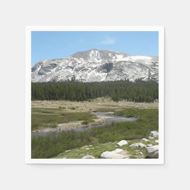 High Country Mountain Stream I Napkins (Front)