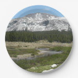 High Country Mountain Stream I Paper Plates