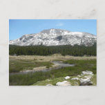 High Country Mountain Stream I Postcard