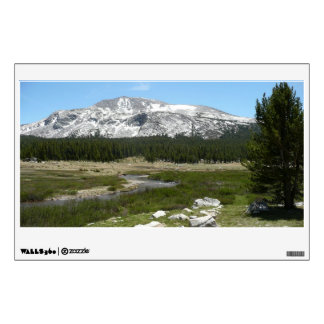 High Country Mountain Stream I Wall Decal