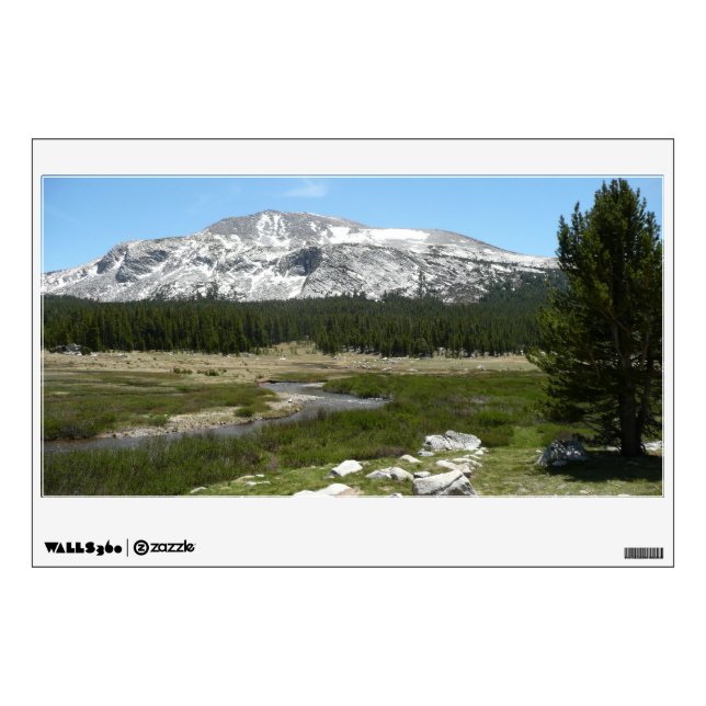 High Country Mountain Stream I Wall Decal (Front)
