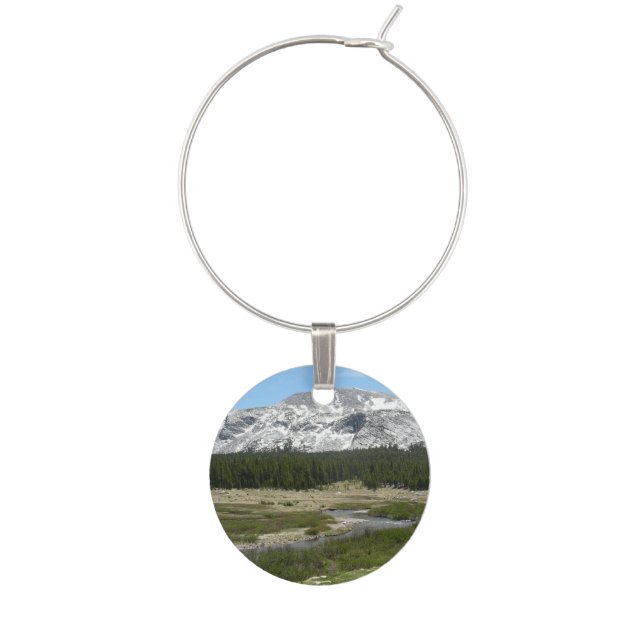 High Country Mountain Stream I Wine Charm (Front)