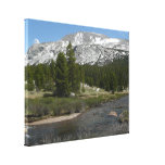 High Country Mountain Stream II at Yosemite Canvas Print