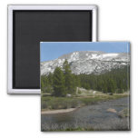 High Country Mountain Stream II at Yosemite Magnet