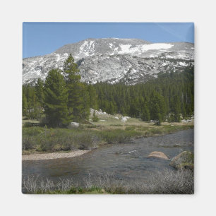 High Country Mountain Stream II at Yosemite Magnet