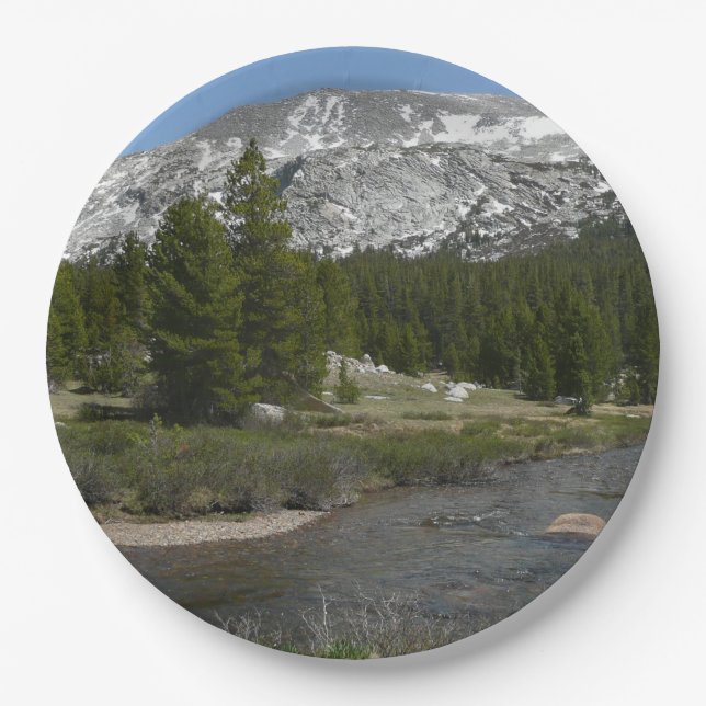 High Country Mountain Stream II at Yosemite Paper Plates (Front)
