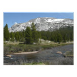 High Country Mountain Stream II at Yosemite Photo Print