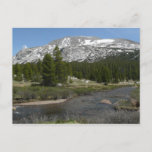 High Country Mountain Stream II at Yosemite Postcard