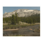 High Country Mountain Stream II at Yosemite Wood Wall Art