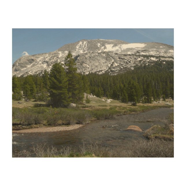 High Country Mountain Stream II at Yosemite Wood Wall Art (Front)