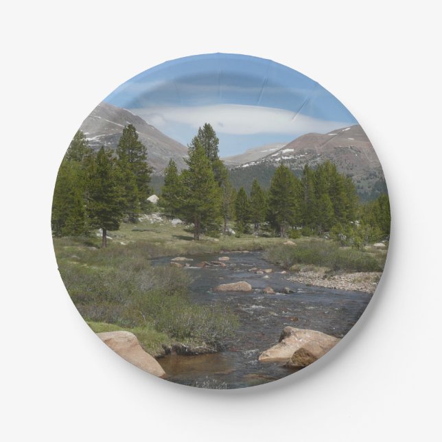 High Country Mountain Stream III at Yosemite Paper Plates (Front)
