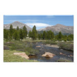 High Country Mountain Stream III at Yosemite Photo Print