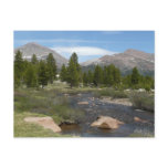 High Country Mountain Stream III at Yosemite Postcard