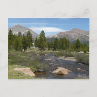 High Country Mountain Stream III at Yosemite Postcard