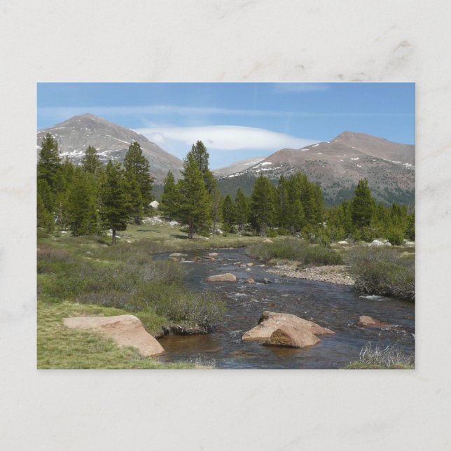 High Country Mountain Stream III at Yosemite Postcard (Front)