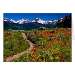 High Country Wildflower Meadow Greeting Card