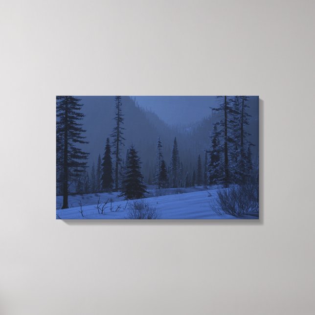 High Country (Winter/Night) Canvas Print (Front)
