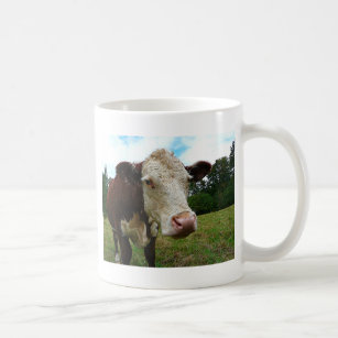 Hereford Cattle Mugs - No Minimum Quantity