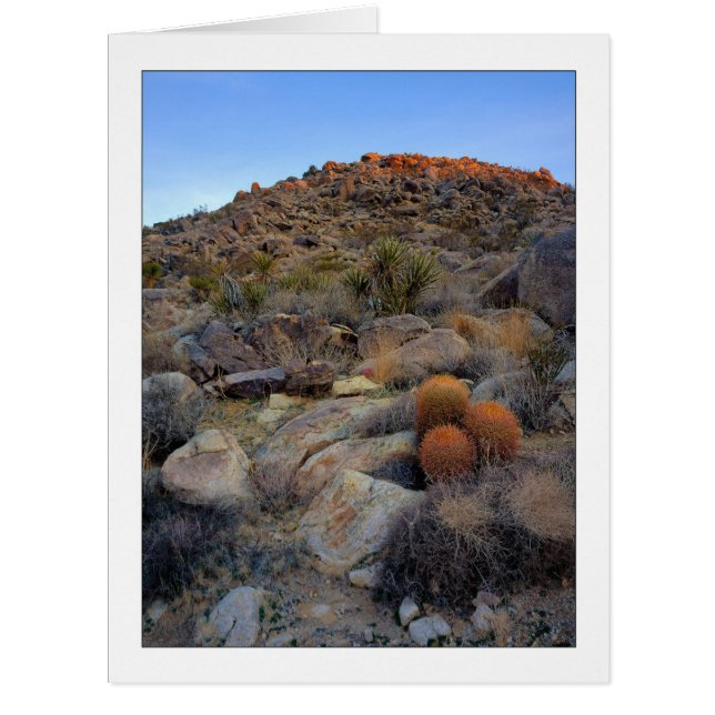 "High Desert Garden" Cards (Front)