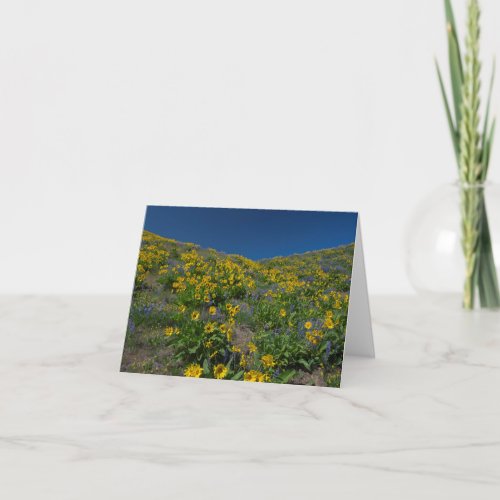 High desert spring bloom blank card