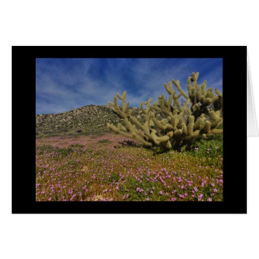 High Desert spring Cards (Front Horizontal)