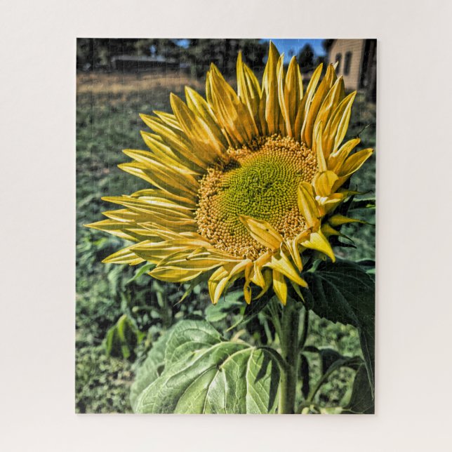 High Dynamic Range Sunflower Photograph Jigsaw Puzzle (Vertical)