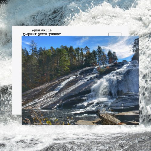 High Falls DuPont State Forest NC Photographic Postcard