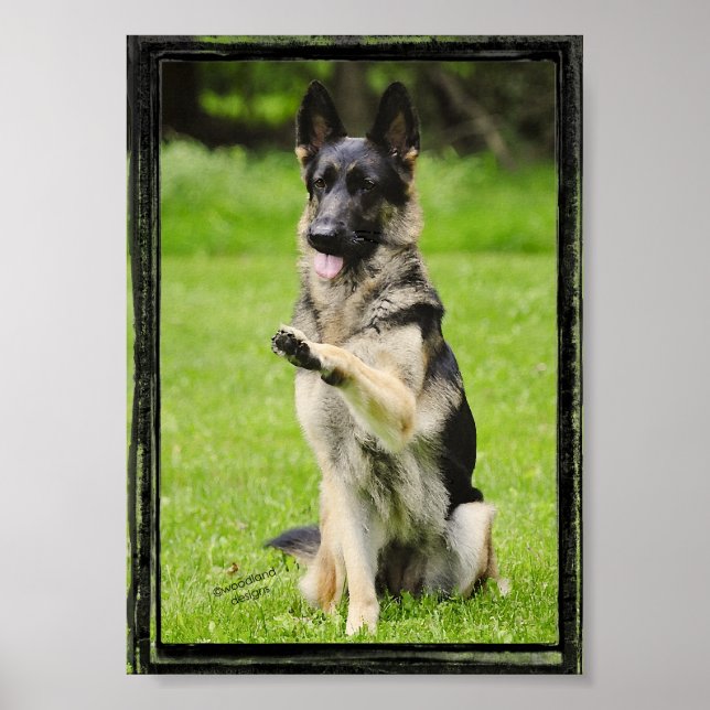 High Five German Shepherd Poster (Front)