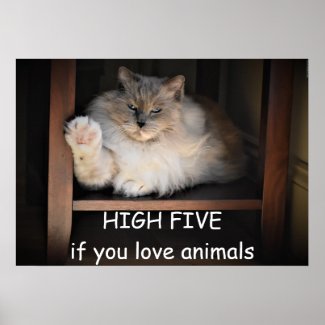 HIGH FIVE if you love animals,  Poster