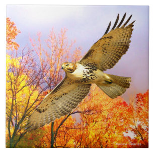 "High Flyer" Decorative Tile