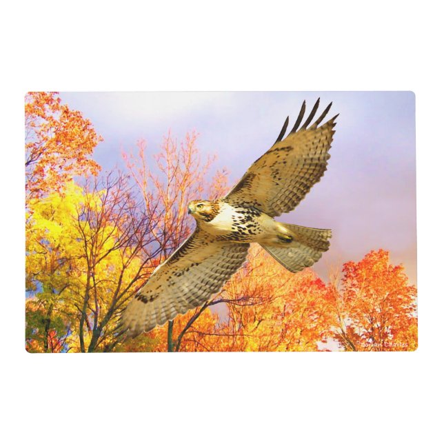 "High Flyer" Laminated Placemat (Front)