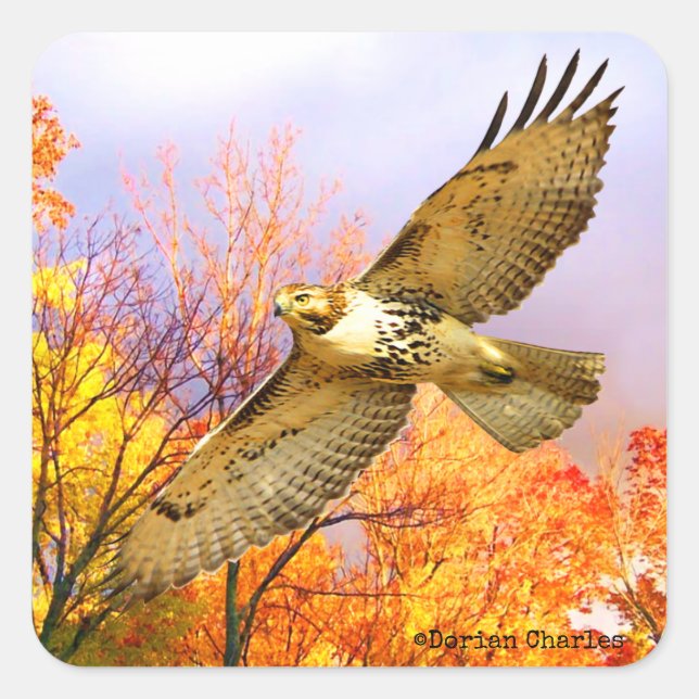 "High Flyer" Stickers (Front)