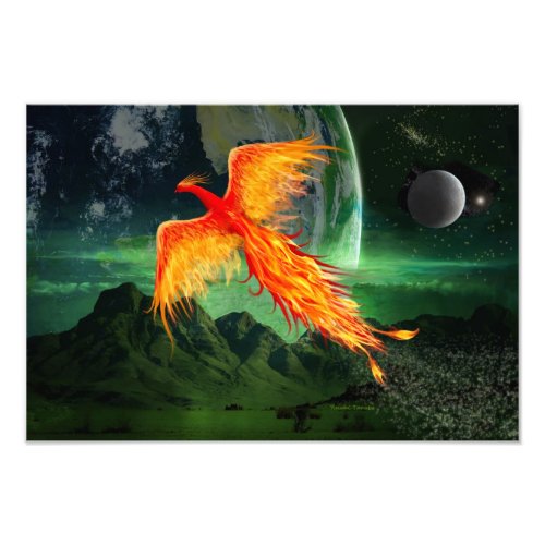 High Flying Phoenix Photo Print