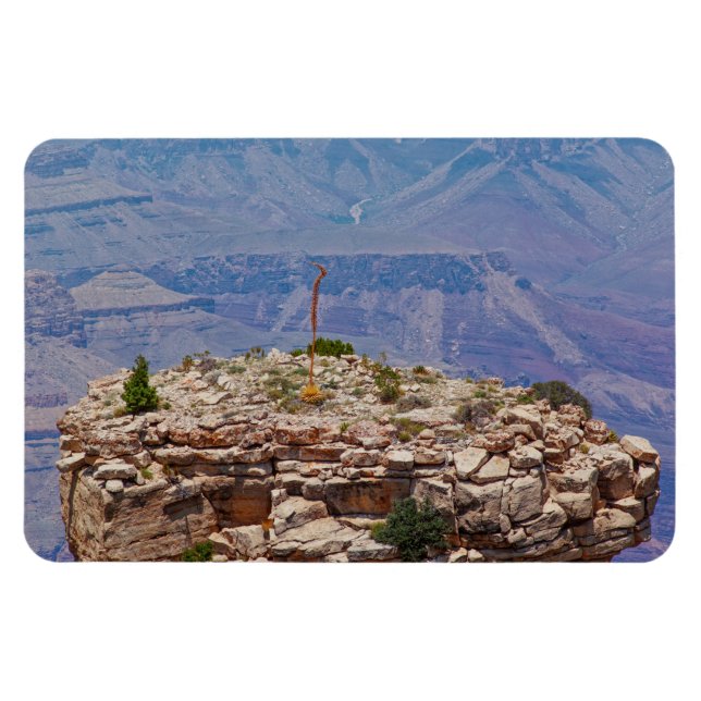 High Garden Magnet (Horizontal)