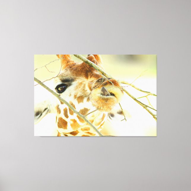 HIGH HOPE 40x60 Canvas Print (Front)