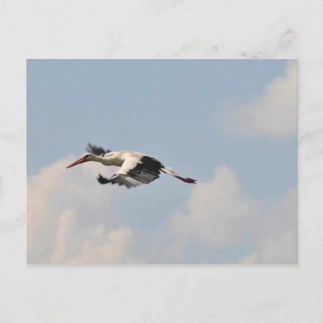 High in the sky postcard (Front)