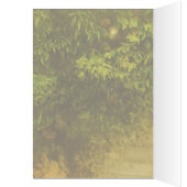 high lady of compassion cards (Inside (Left))